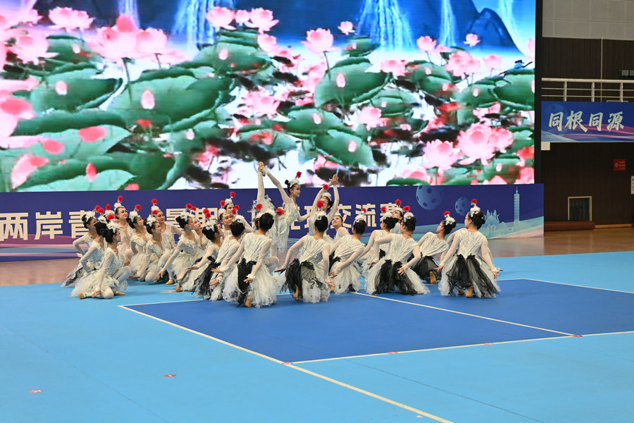 2026海峽兩岸青年(暑期)匹克球交流賽在鶴壁開賽