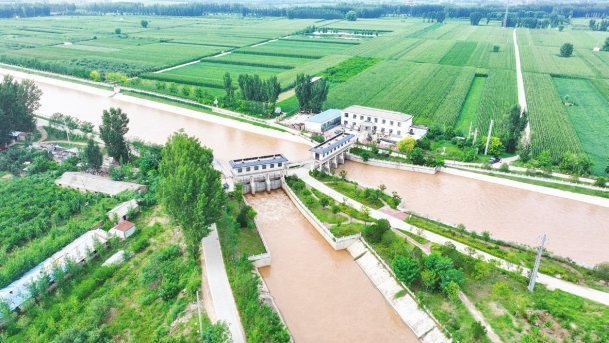 【奋进的河南 决胜“十四五”】黄河之水润豫东 中原粮仓愈丰盈