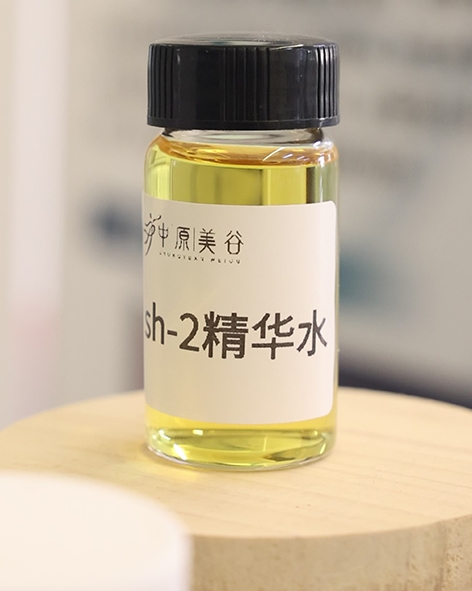 黃土地種出科創“谷” “中原三谷”打造中部科創增長極