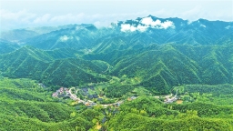 云海绕青山