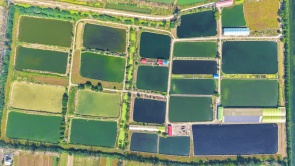 南阳市宛城区：渔业助力乡村振兴