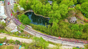 南阳市西峡县：相约老君福地 畅游伏牛花海