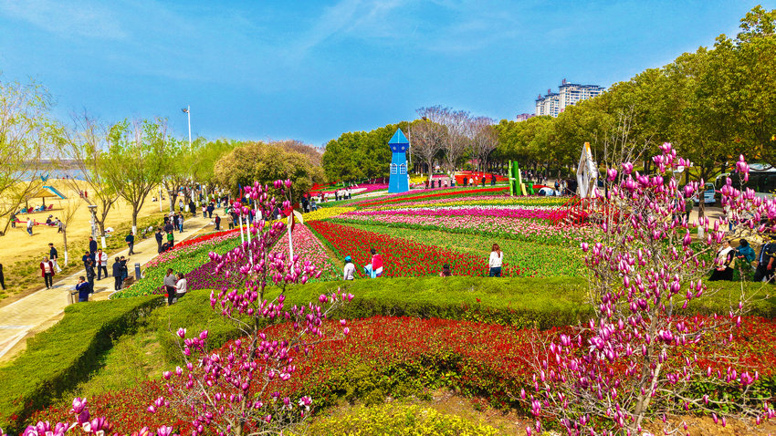 南阳市新野县:花开引客来