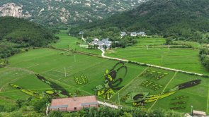 信阳罗山：稻田画绘就农旅融合新画卷