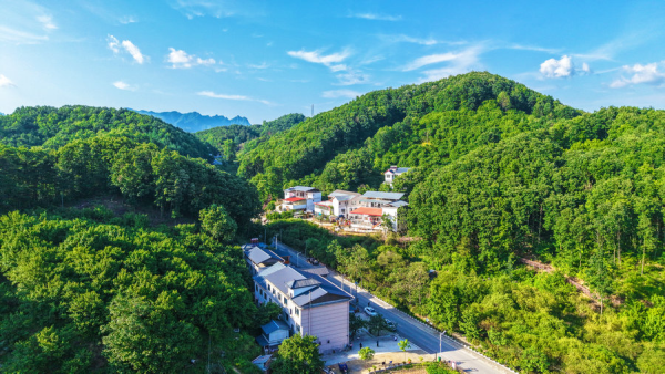 追青逐绿 大美中国 | 碧水青山间的“西峡答案”与“淅川路径”