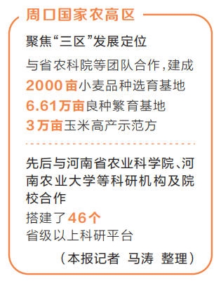 【奋战四季度 确保全年红】周口国家农高区小麦“链”成记 null