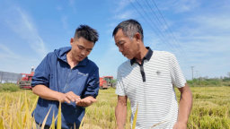 信阳商城：流量归田 “90后”网红新农人深耕乡土兴乡野