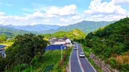 林地占比近三成 河南如何挖掘森林宝库？