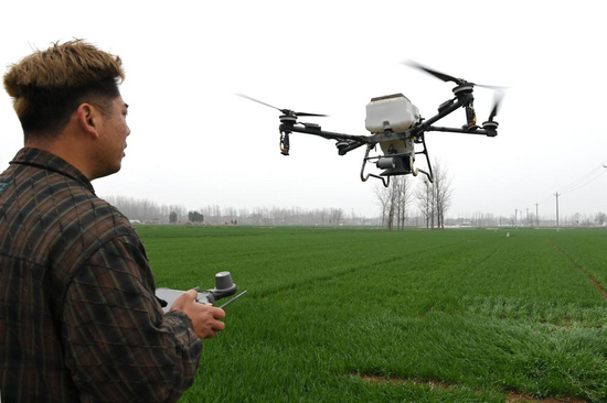 商丘市夏邑县:科技赋能麦田管理 确保小麦提质增产