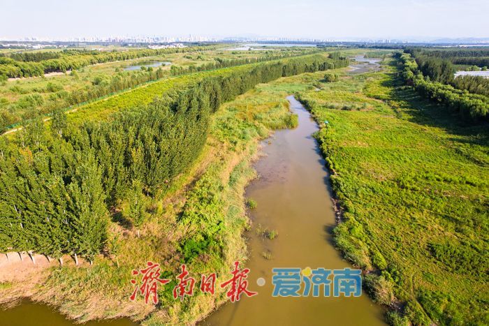 山东济南:沉砂池化身“滨水湿地” 滩涂纹理如大地版画
