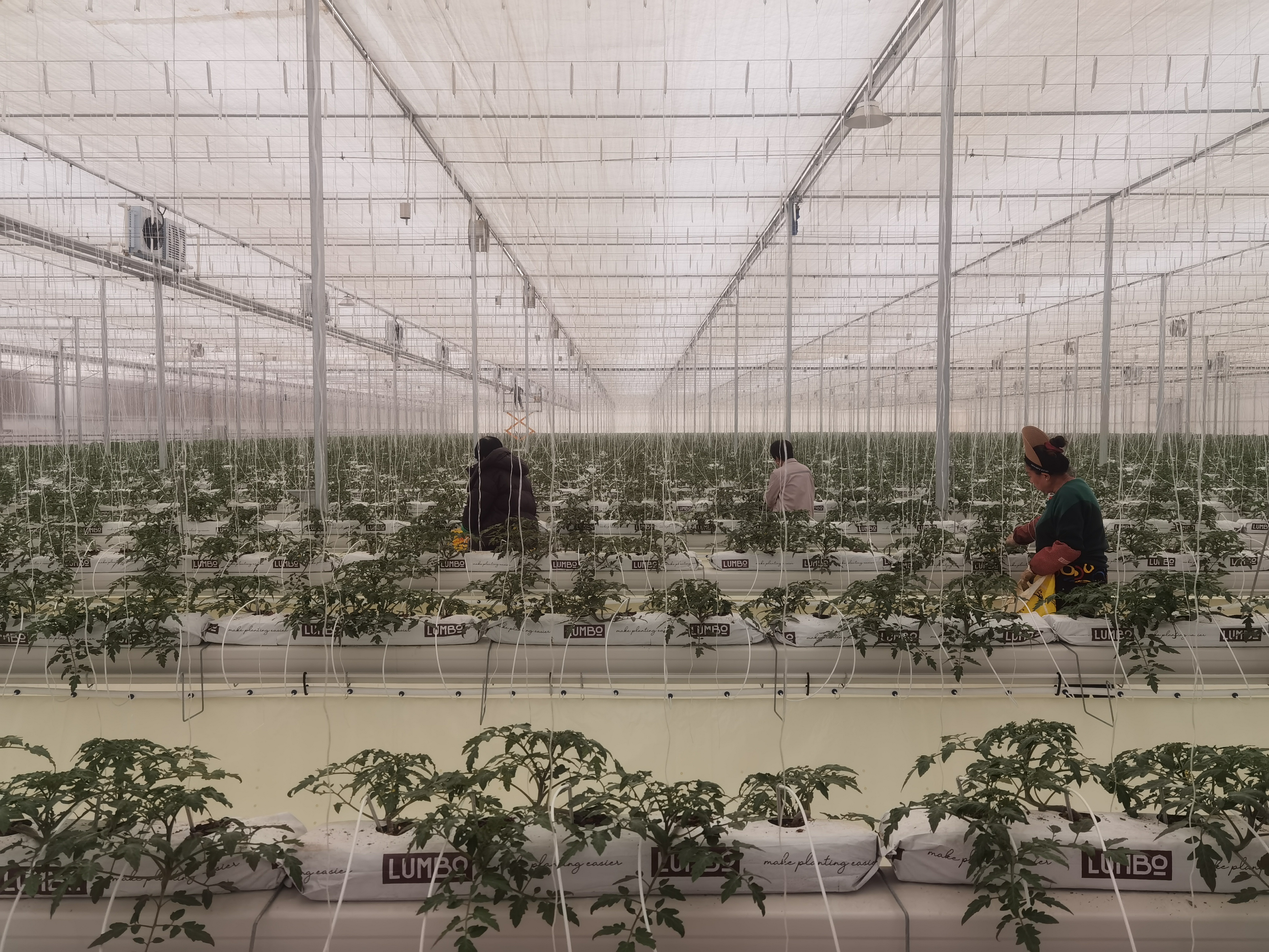 烟台海阳:山海共舞 片区共融