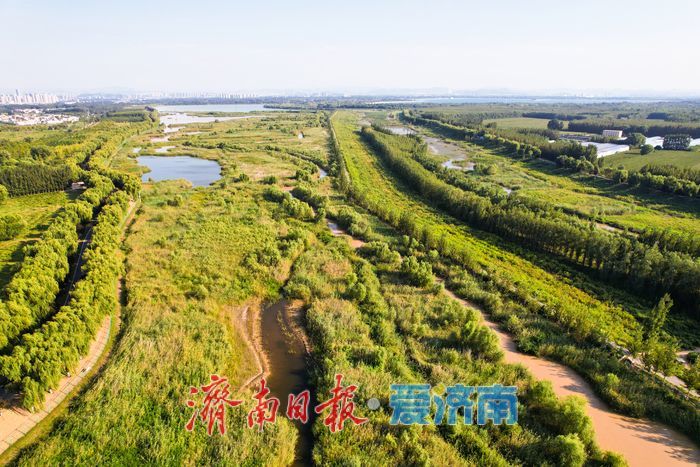 山东济南:沉砂池化身“滨水湿地” 滩涂纹理如大地版画