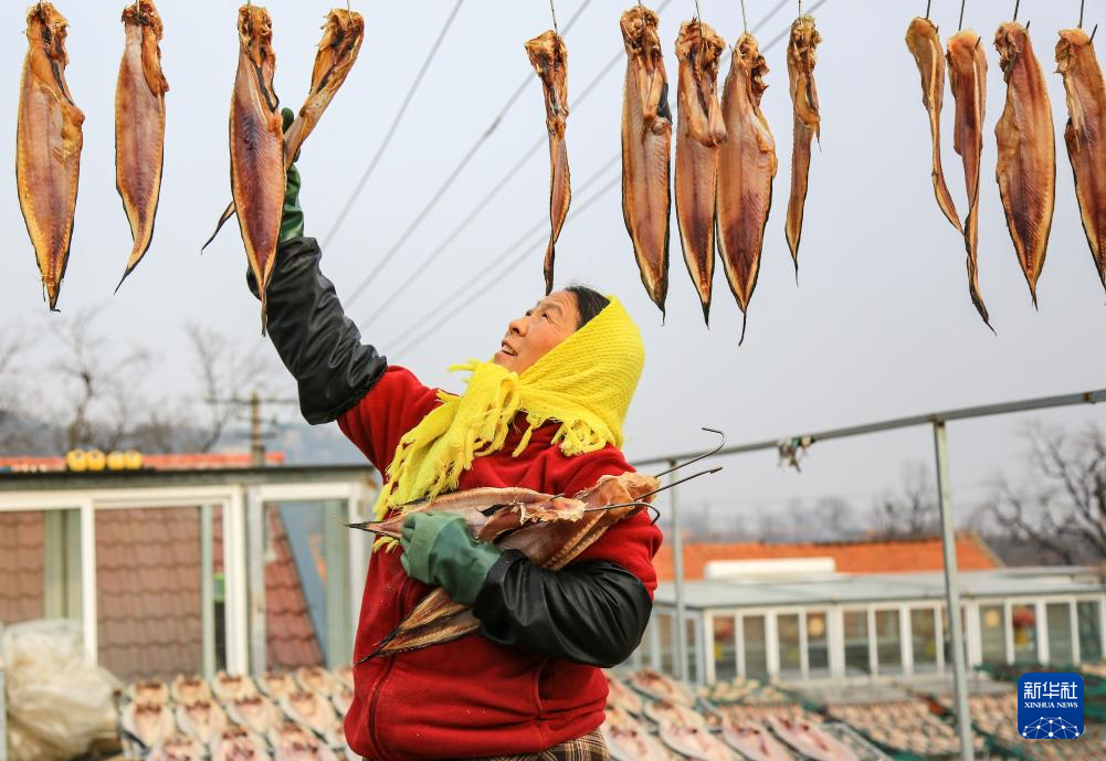 山东即墨:春节临近晒鱼忙