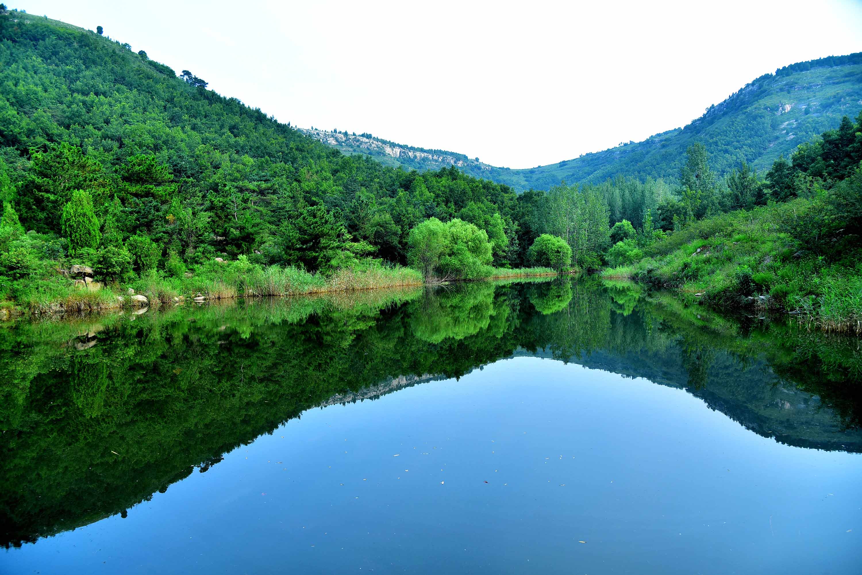 枣庄山亭水泉镇:七十余载接力治山 绘就生态富民画卷