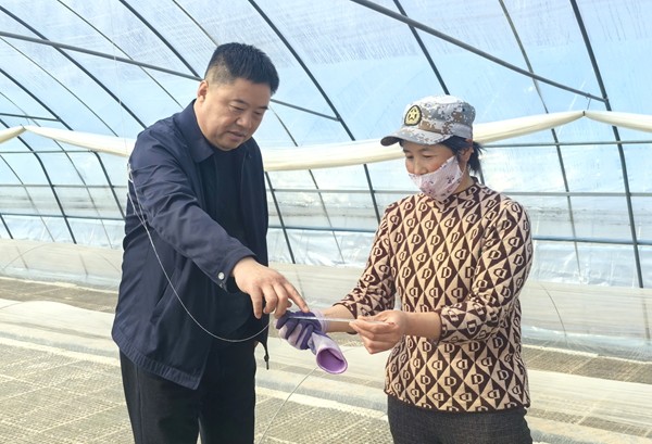 潍坊安丘:把实干初心写在烟农的笑脸上