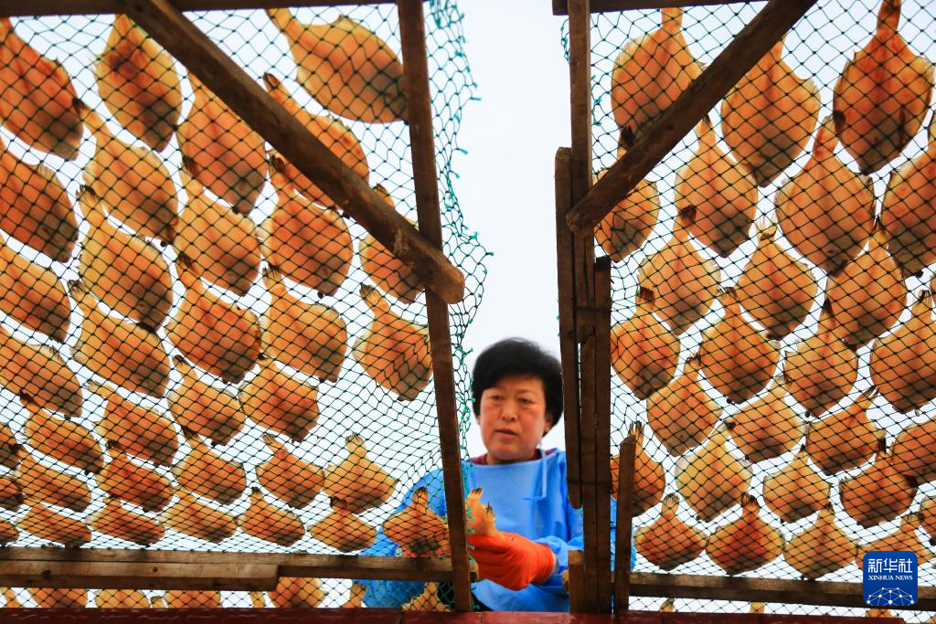 山东即墨:春节临近晒鱼忙