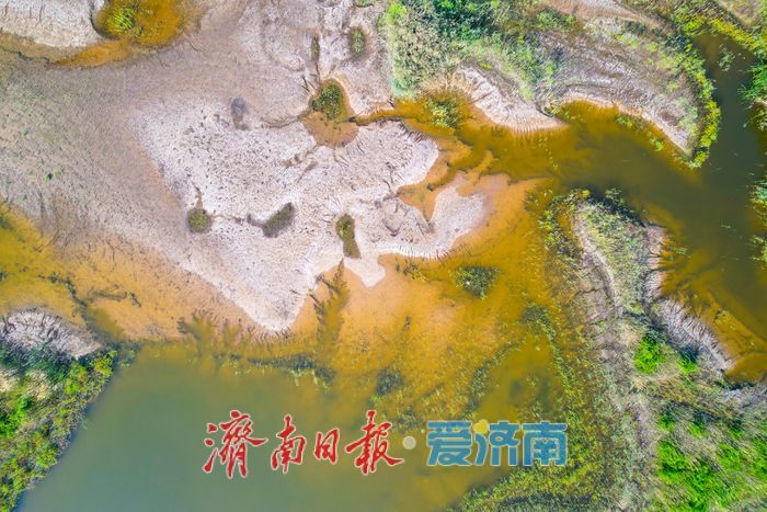 山东济南:沉砂池化身“滨水湿地” 滩涂纹理如大地版画