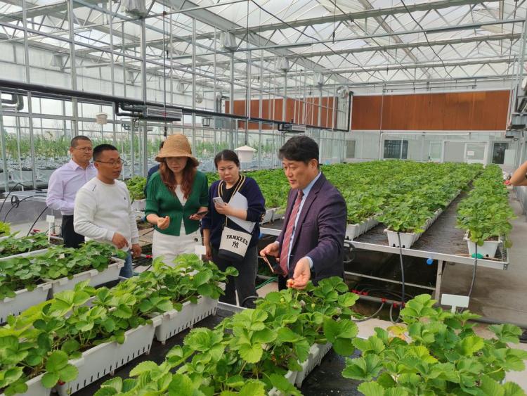 中韩现代农业社群共话合作 东营推动生态农业国际交流
