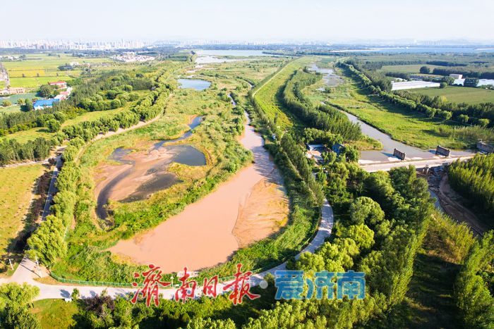 山东济南:沉砂池化身“滨水湿地” 滩涂纹理如大地版画