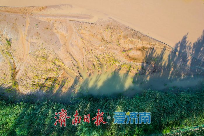 山东济南:沉砂池化身“滨水湿地” 滩涂纹理如大地版画