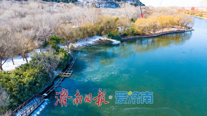 一年四季 泉在济南丨蓝天为幕,冰雪作景:一场雪后的济南细节之美