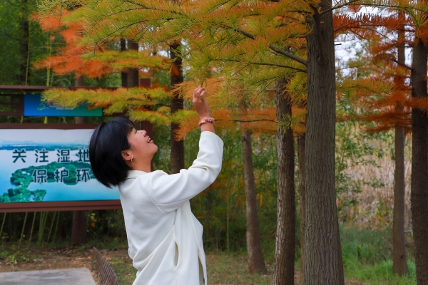 【2025打卡中国】徐州段收官:乡村不仅美 特产也很“潮” null