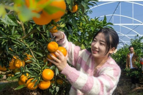 宜兴白塔村入选江苏省2025第二届“高质量党建引领乡村全面振兴”创新优秀案例
