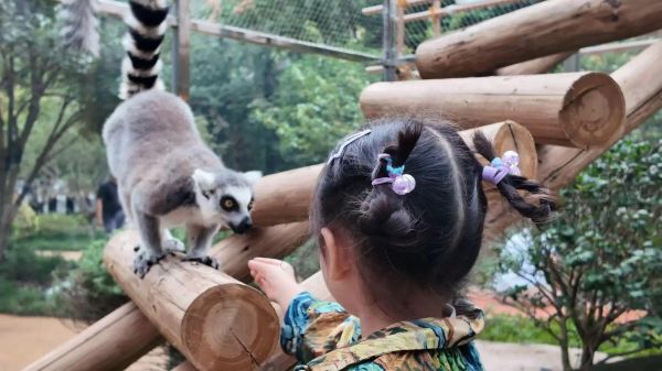 南京汤山打造“搭子友好型”新春文旅体验 解锁多元年味新玩法