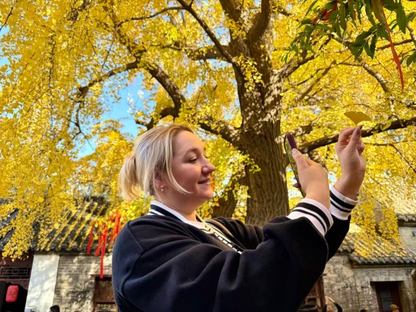 【2025打卡中国】逛“彭城七里” 品“快哉徐州” null