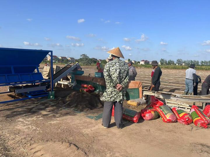 江苏夏粮收获过半 秋粮播栽梯次铺开