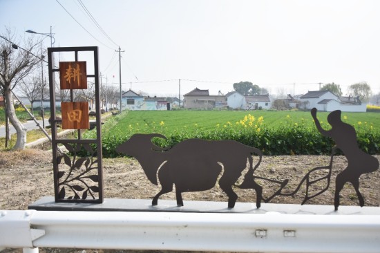 泰州兴化戴南镇:“绿色刁良”添新景 “农耕小品”立田头