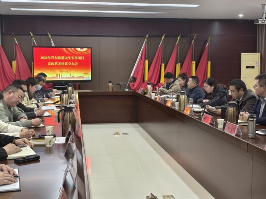 南通通州区兴东街道召开2026年民生实事项目和议政代表建议交办会