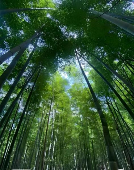 登无想山,览天池景 南京溧水古火山口的“江南第一胜境”迎来山水新诗意