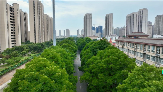 淮安市清江浦区:居民点赞!这些零散地块陆续“化身”特色休闲景观