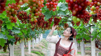 “白塔味道”甜蜜突围 宜兴白塔村走出农旅融合振兴路