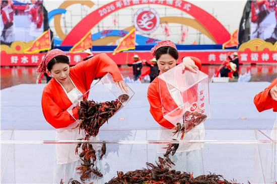 从塘口直达舌尖 第一网盱眙龙虾抢“鲜”登场