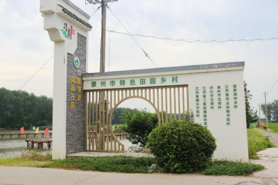 泰州兴化戴南镇:“绿色刁良”添新景 “农耕小品”立田头