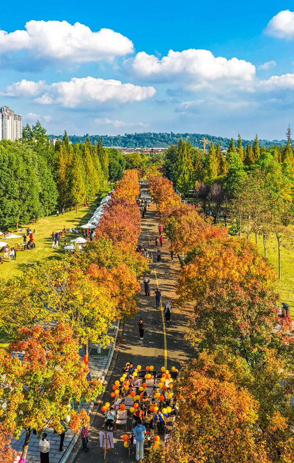 La Hoja de Arce de Meishan: un Poema Oculto en el Tiempo