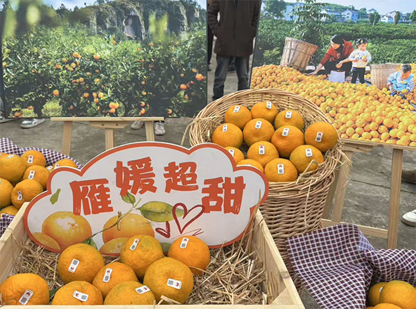 资阳市雁江区柑橘集散交易中心正式运营 “雁媛”品鉴会擦亮产业新名片 null