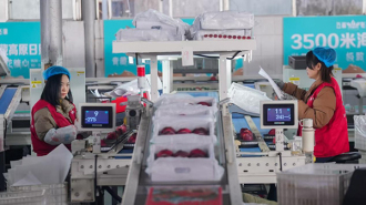 小金苹果“闯”彭山 智能分拣助“山货”进城