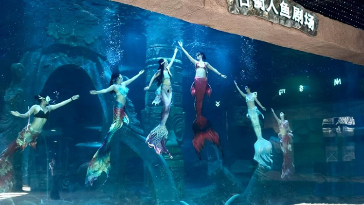 China’s One and Only! Ancient Shu’ Marine Kingdom Hidden in a “Trumpet Triton”