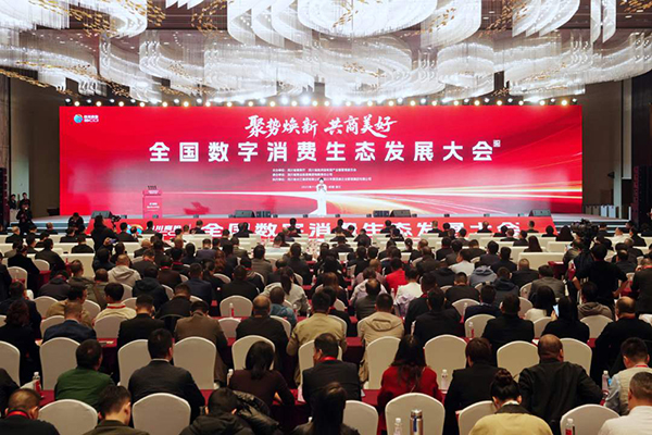 借势全国数字消费生态发展大会 成都温江举行供需对接会-国际在线