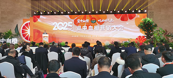 จัดการประชุมการตลาดส้มเลือดจือจง ปี 2025 โดยลงนามคำสั่งซื้อส่งออกกว่า 24,000 ตันในงาน