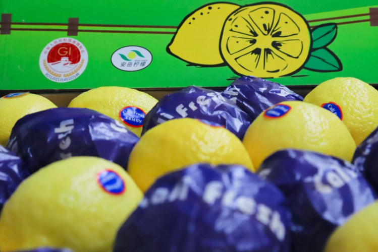 Anyue County, Ziyang City’s Foreign Trade Shows Steady Growth with Traditional Strengths and Emerging Industries