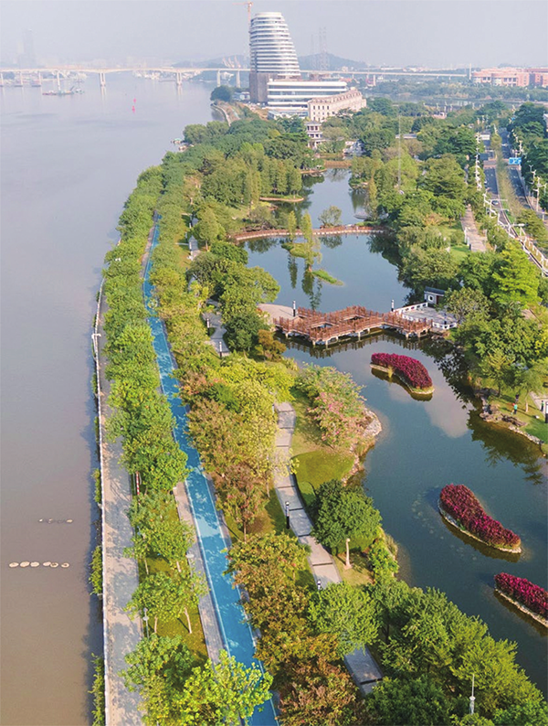 Huangpu promotes city greenspace development