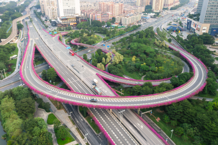 Guangzhou’s Huangpu District Welcomes the 15th National Games with Its “Aerial Flower Corridors”_fororder_图片13