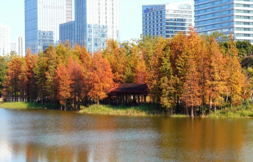 Huangpu's Phoenix Lake Named a "Beautiful China Must-Visit Spot"