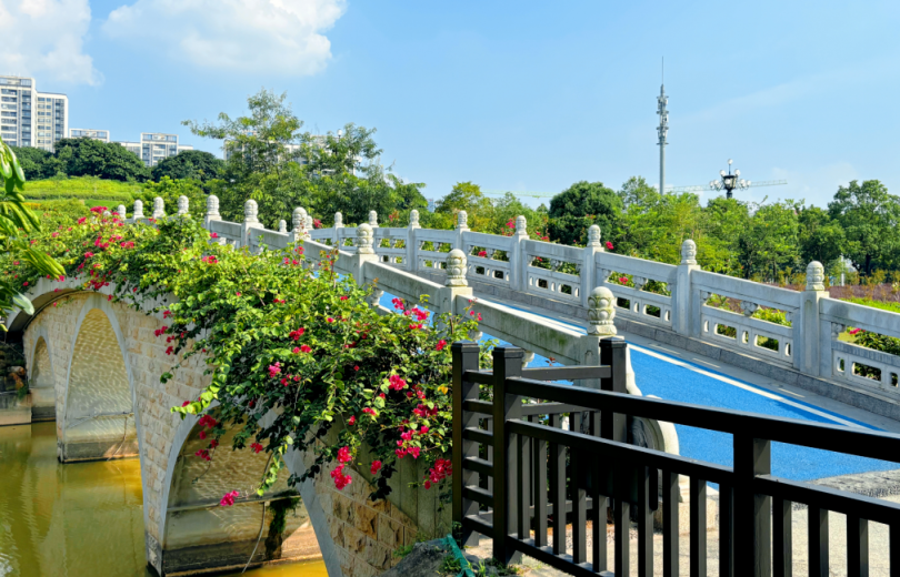 5 Best Spots for Winter Lawn Camping in Huangpu