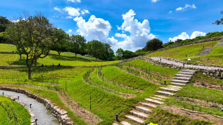 Huangpu invites outdoor enthusiasts to explore diverse hiking trails
