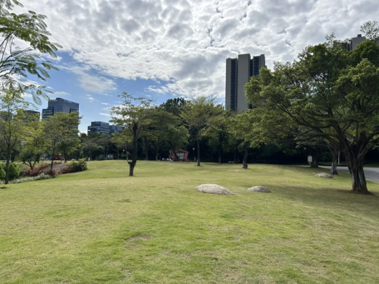 Chuangxin Park in Huangpu: Sanctuary of nature, leisure